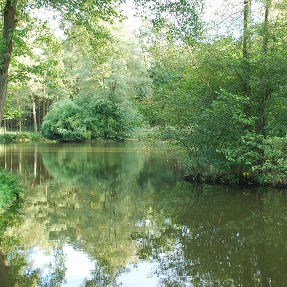 Diakonie Gütersloh e.V. - Pflege-Wohngemeinschaft in Schloss Holte-Stukenbrock "Schlieffenhof"