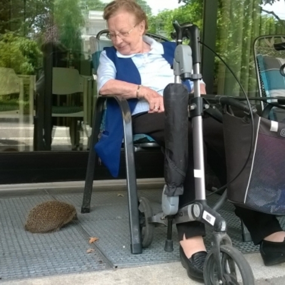 Altenzentrum Wilhelm-Florin-Zentrum