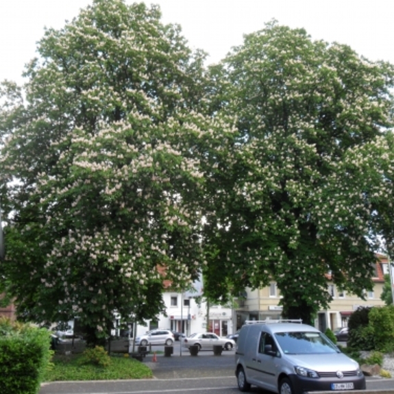Altenzentrum Wilhelm-Florin-Zentrum