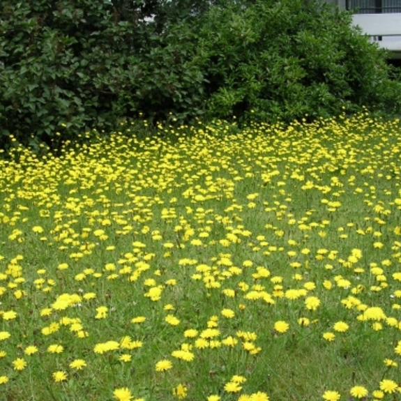 Altenzentrum Wilhelm-Florin-Zentrum