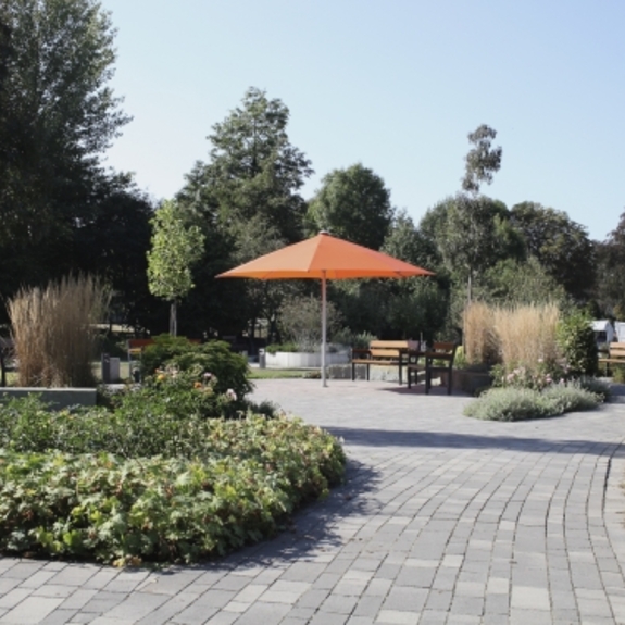 Daheim e.V. - Tagespflege Mastholte