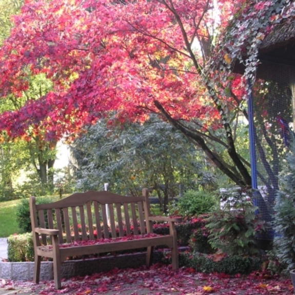 Altenzentrum Wilhelm-Florin-Zentrum